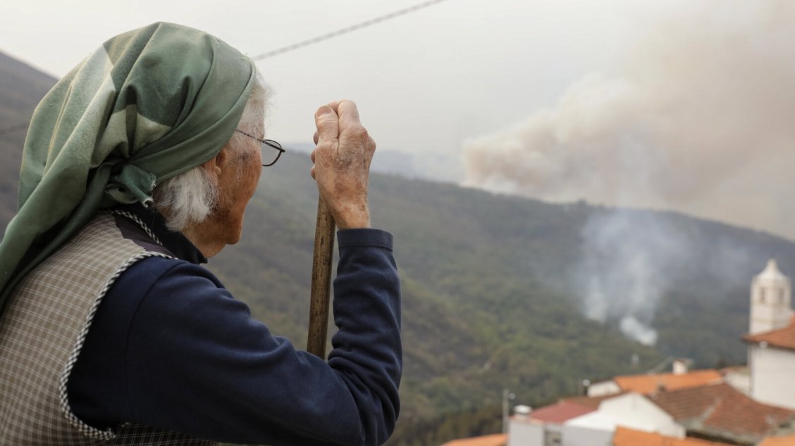 Floresta – Estratégias – Incêndios Florestais / Rurais